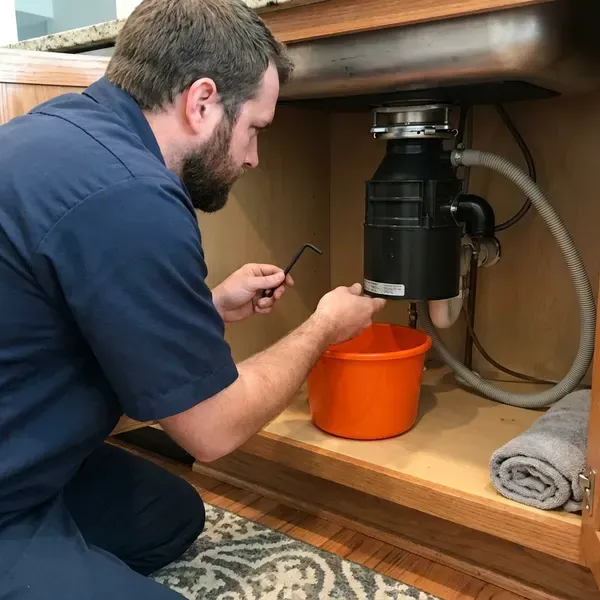 Professional garbage disposal repair, Chicago, IL